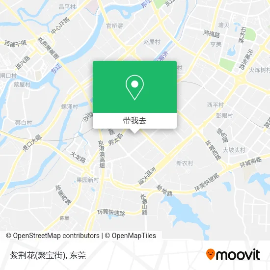 紫荆花(聚宝街)地图