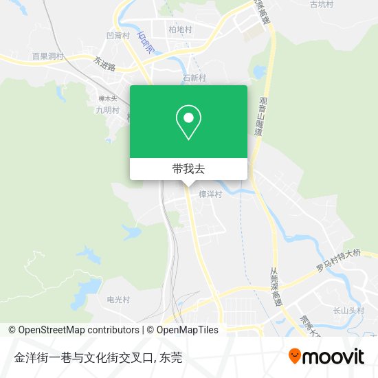 金洋街一巷与文化街交叉口地图