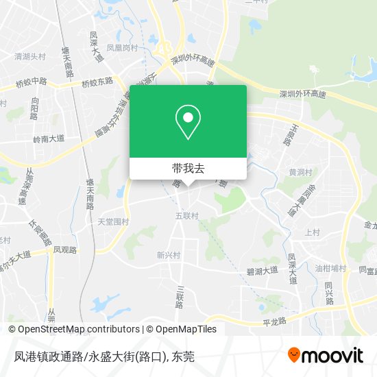 凤港镇政通路/永盛大街(路口)地图