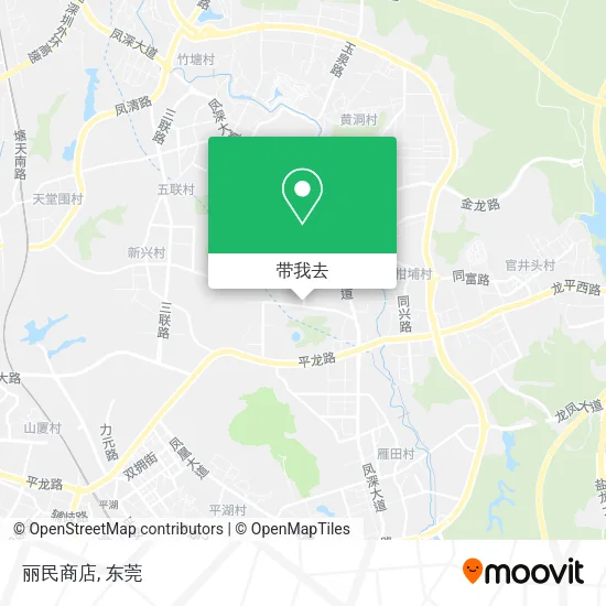 丽民商店地图