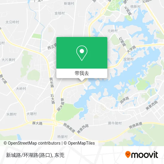 新城路/环湖路(路口)地图