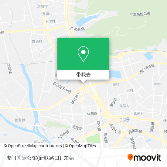 虎门国际公馆(新联路口)地图