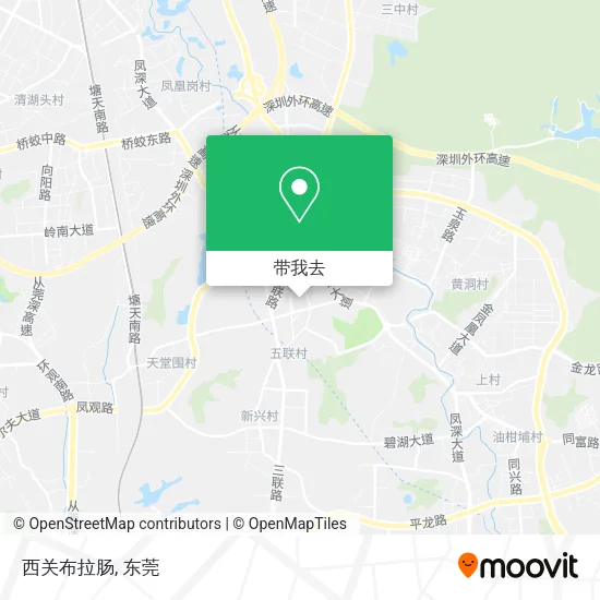 西关布拉肠地图