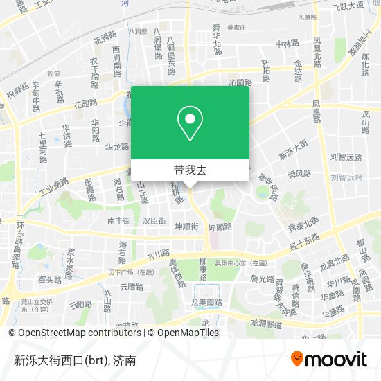 新泺大街西口(brt)地图
