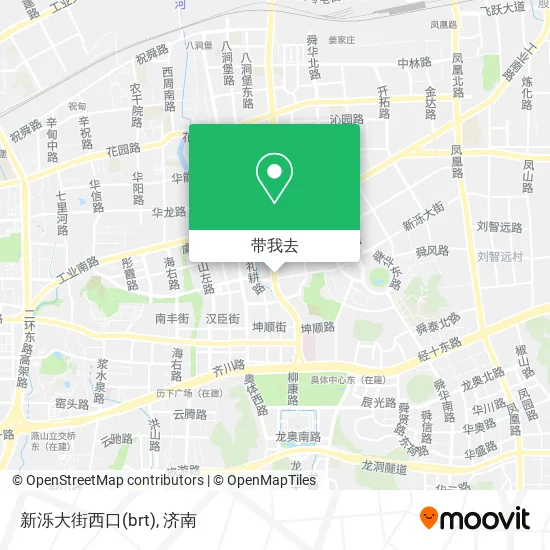 新泺大街西口(brt)地图
