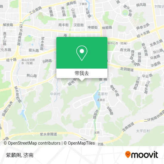 紫麟阁地图