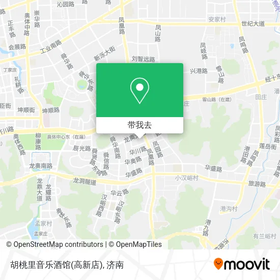 胡桃里音乐酒馆(高新店)地图