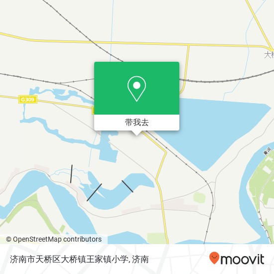 济南市天桥区大桥镇王家镇小学地图