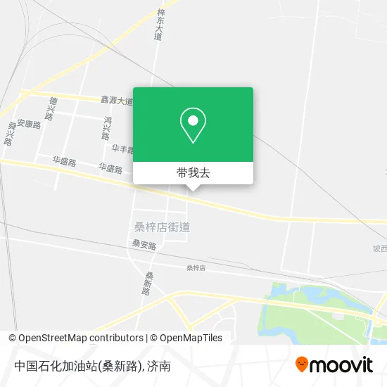 中国石化加油站(桑新路)地图