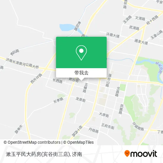 漱玉平民大药房(宾谷街三店)地图
