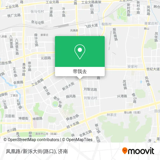 凤凰路/新泺大街(路口)地图