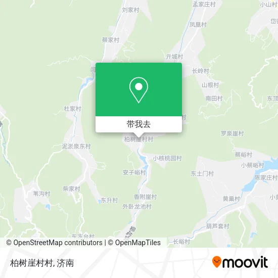 柏树崖村村地图
