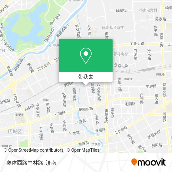 奥体西路中林路地图