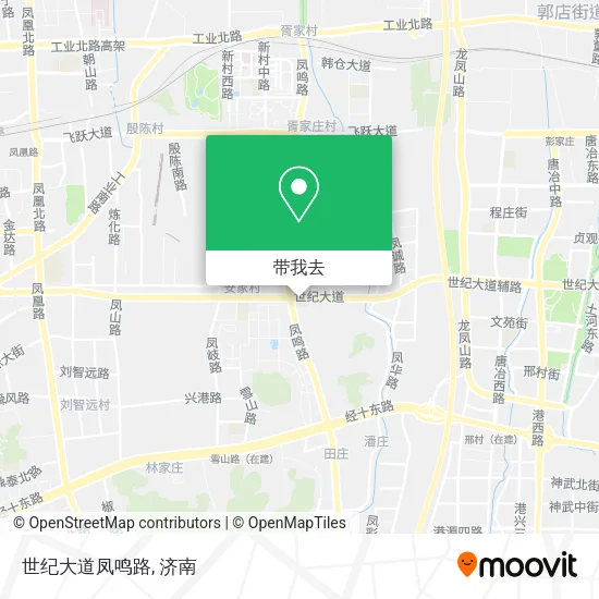 世纪大道凤鸣路地图
