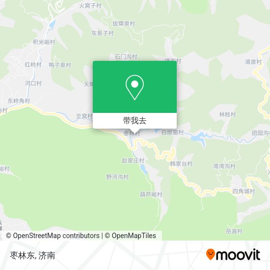 枣林东地图
