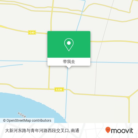 大新河东路与青年河路西段交叉口地图
