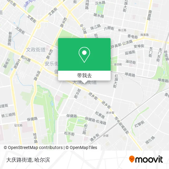 大庆路街道地图