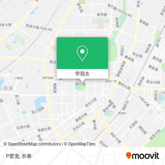 P爱宠地图