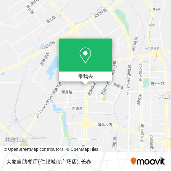 大象自助餐厅(住邦城市广场店)地图