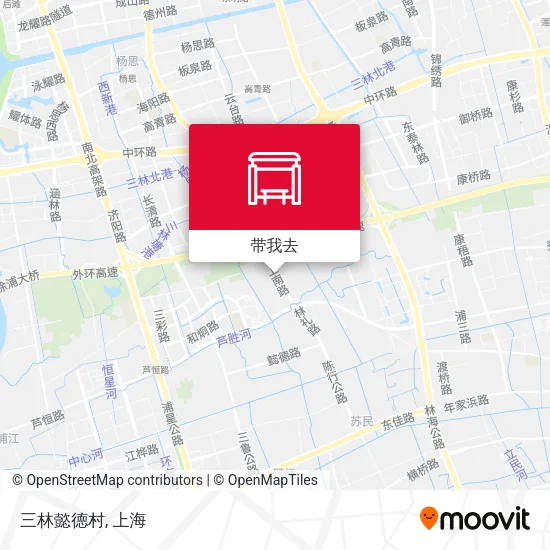三林懿德村地图