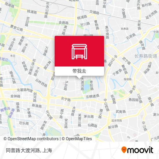 同普路大渡河路地图