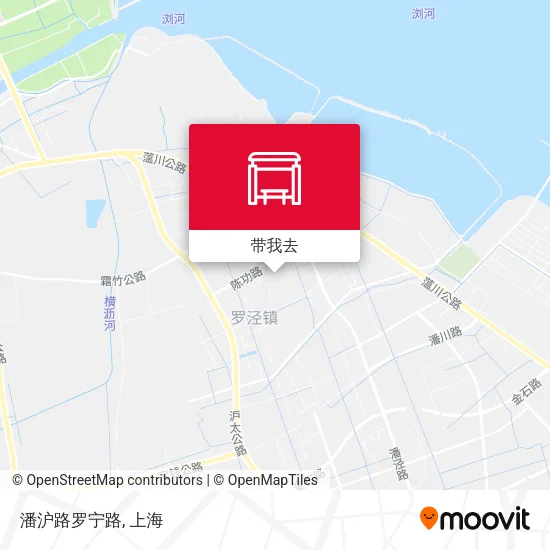 潘沪路罗宁路地图