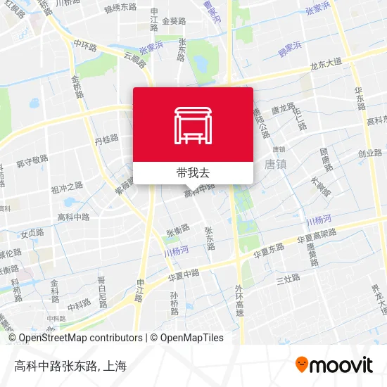 高科中路张东路地图