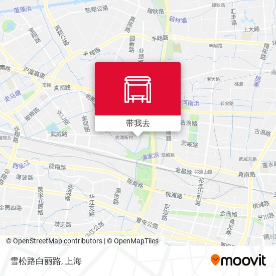 雪松路白丽路地图