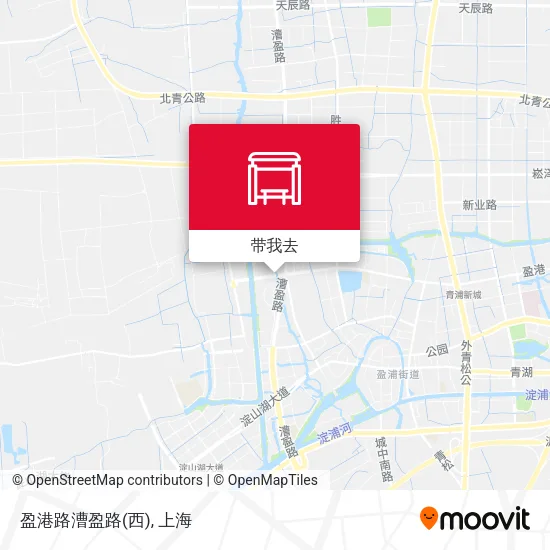 盈港路漕盈路(西)地图