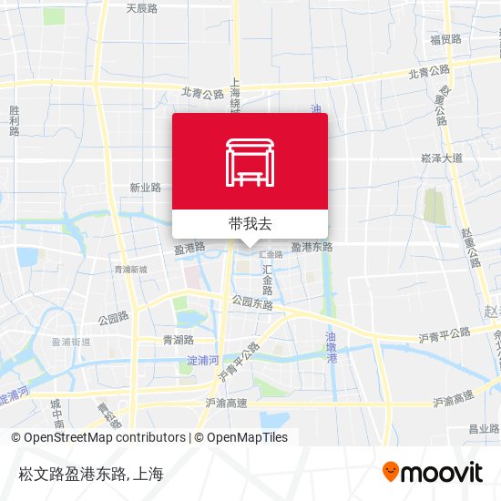 崧文路盈港东路地图