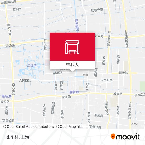 桃花村地图