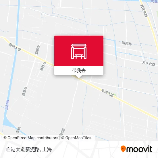 临港大道新泥路地图