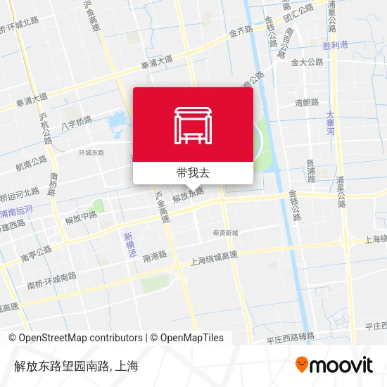 解放东路望园南路地图
