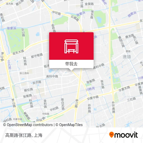 高斯路张江路地图