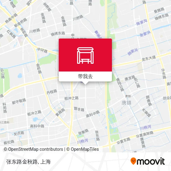张东路金秋路地图