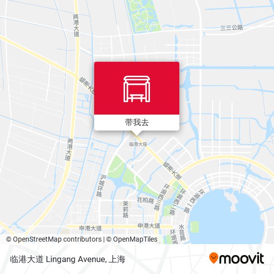 临港大道 Lingang Avenue地图