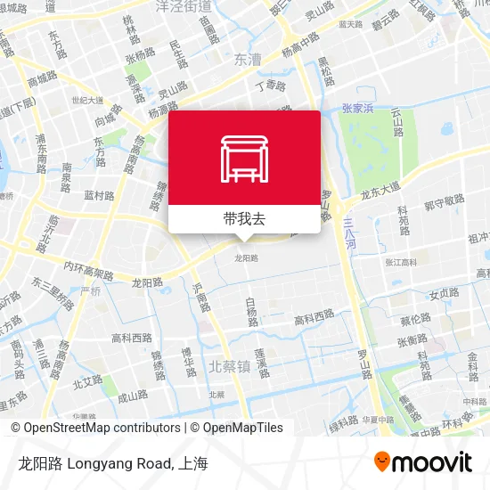 龙阳路 Longyang Road地图