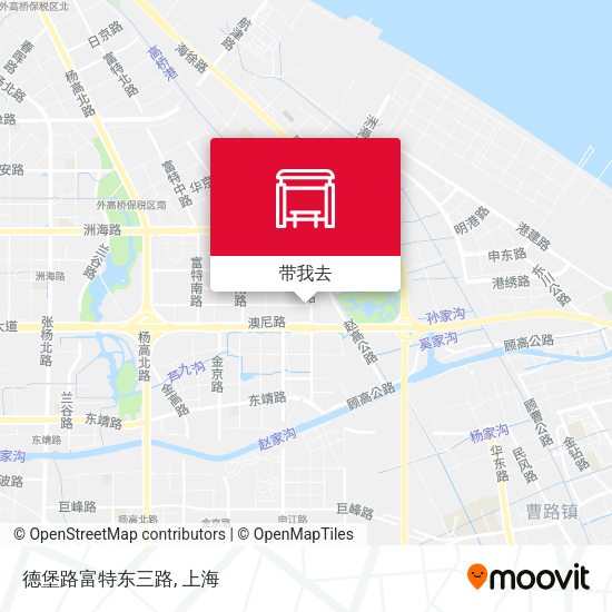 德堡路富特东三路地图