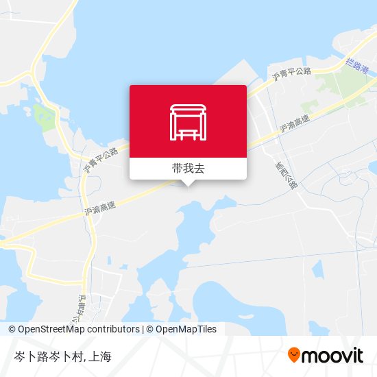 岑卜路岑卜村地图