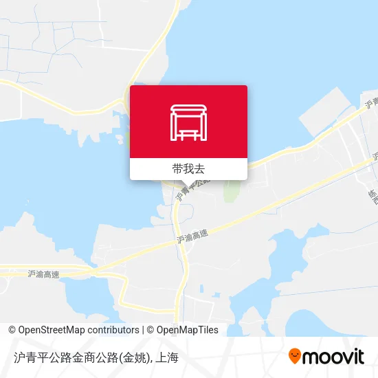 沪青平公路金商公路(金姚)地图