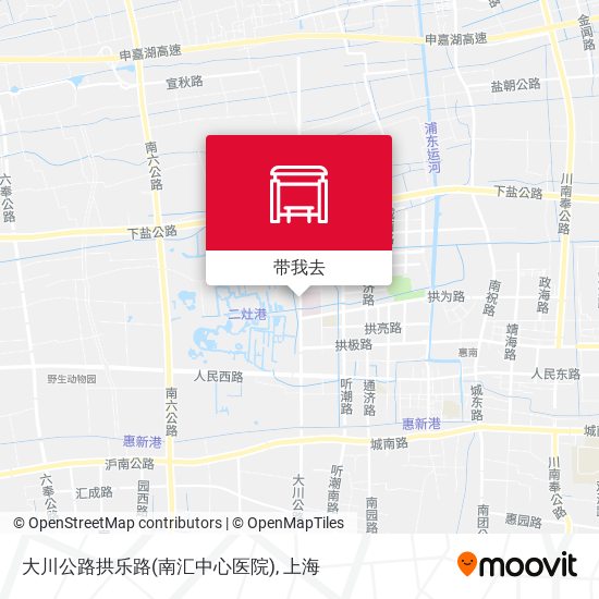 大川公路拱乐路(南汇中心医院)地图