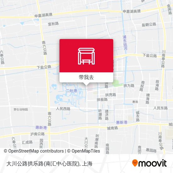 大川公路拱乐路(南汇中心医院)地图