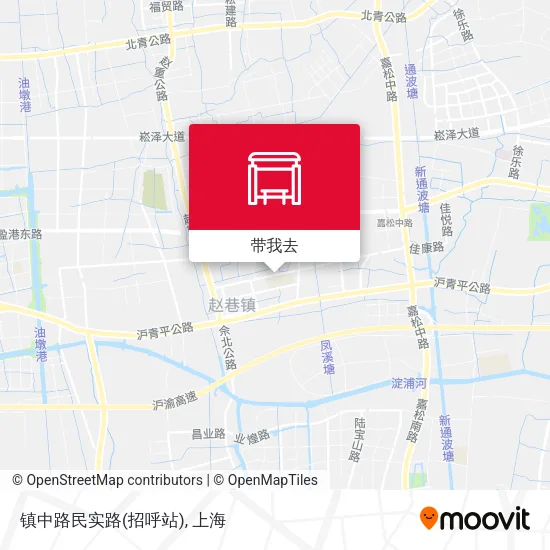 镇中路民实路(招呼站)地图