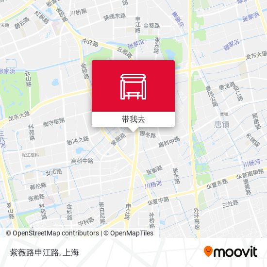 紫薇路申江路地图