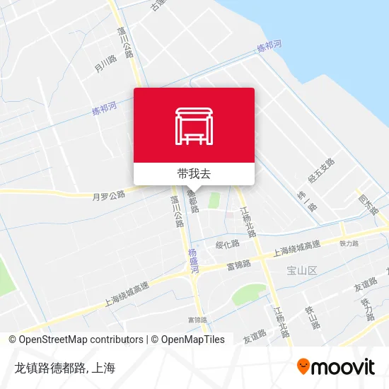龙镇路德都路地图