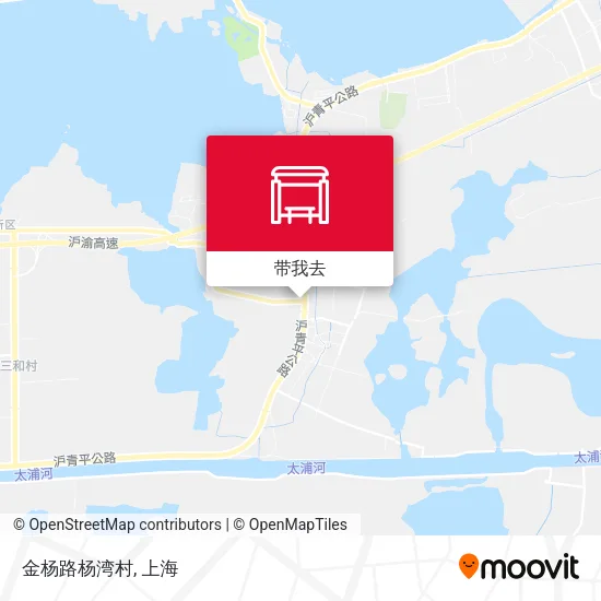 金杨路杨湾村地图
