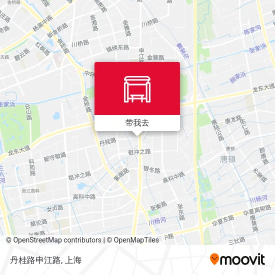 丹桂路申江路地图