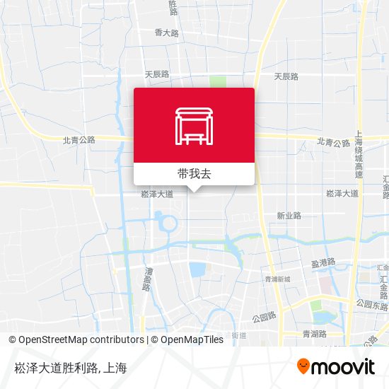 崧泽大道胜利路地图
