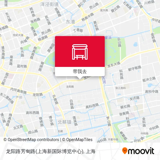 龙阳路芳甸路(上海新国际博览中心)地图