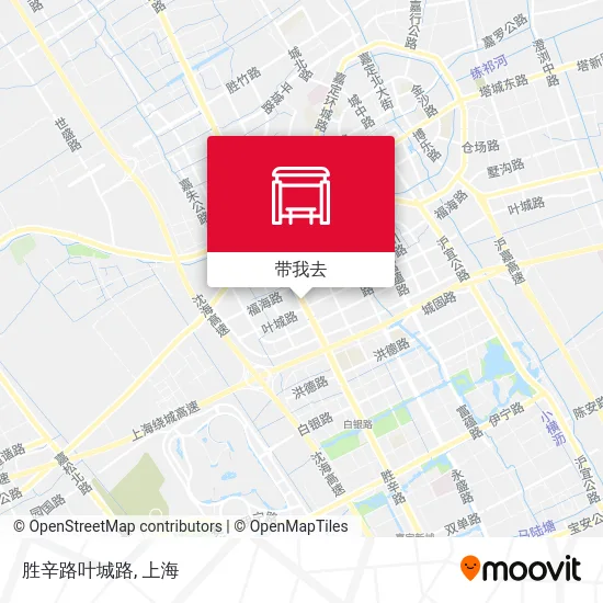 胜辛路叶城路地图
